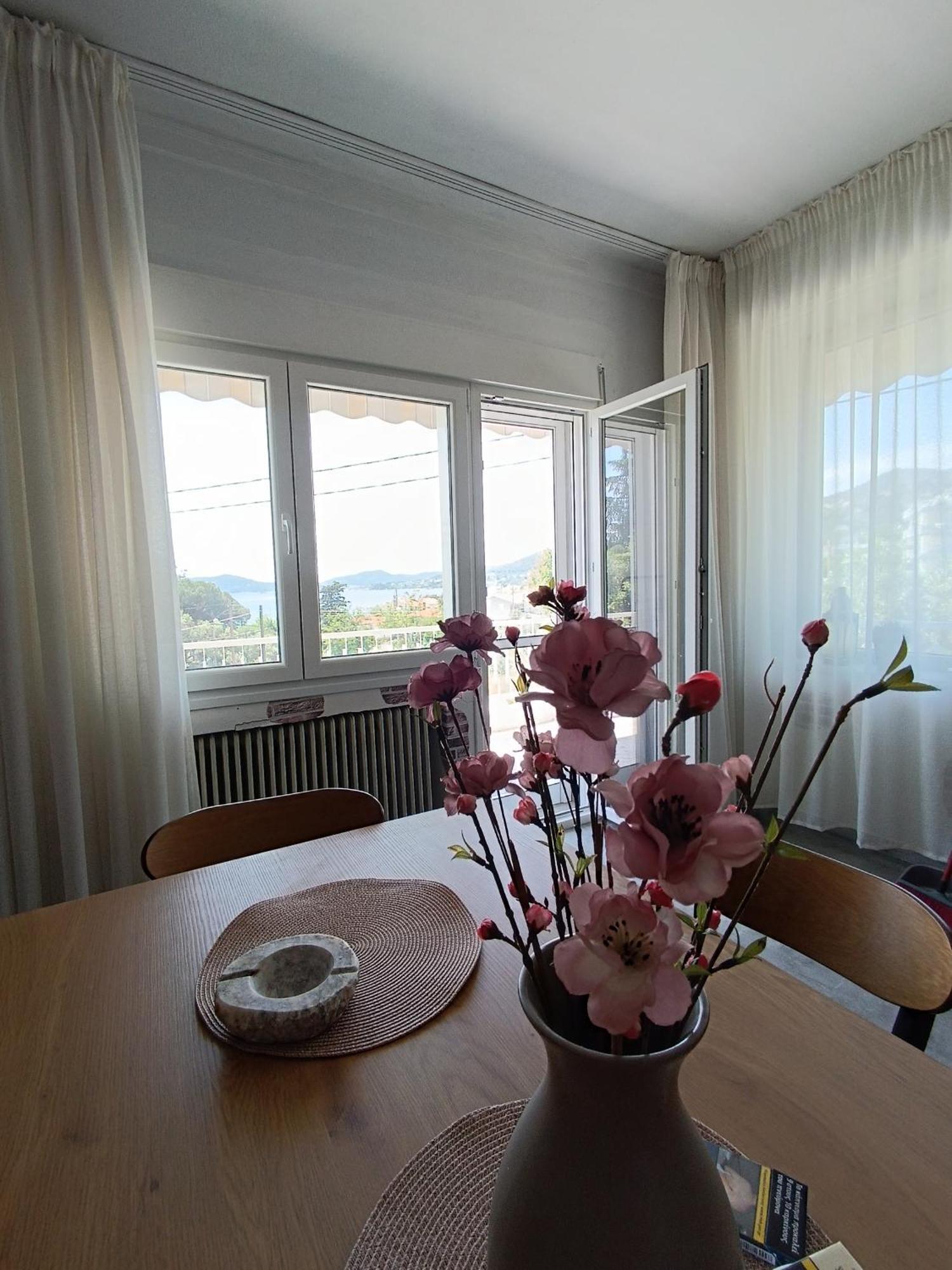 Sea View Palio Apartment PalaiónTsiflíkion Esterno foto